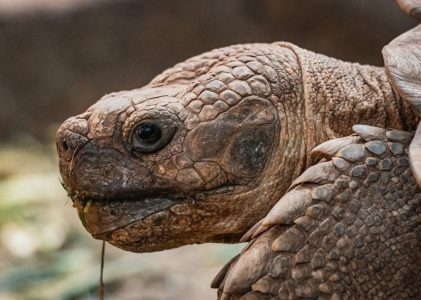 florida contractors manual 2021 pdf free download