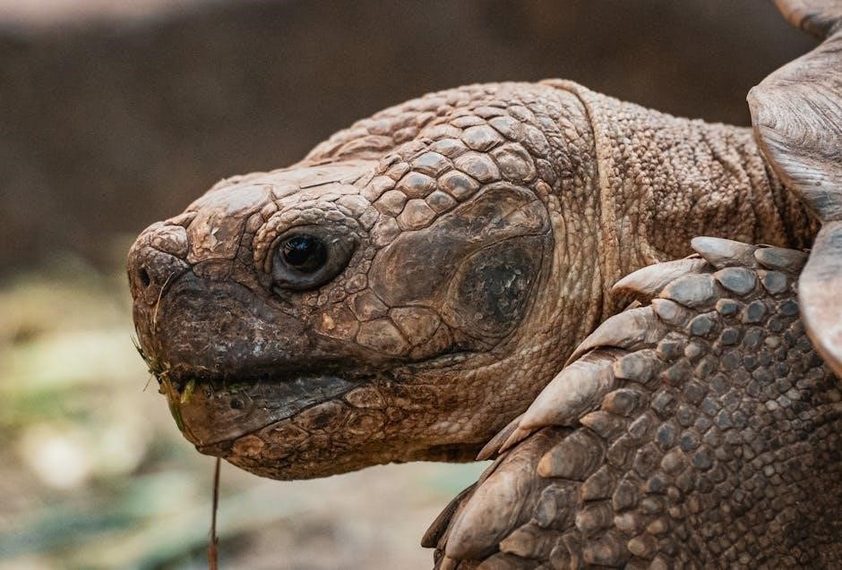 florida contractors manual 2021 pdf free download